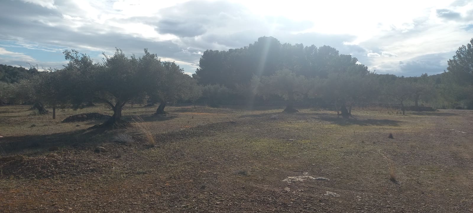 Grunde uden byggetilladelser til salg i El Perello - € 65.000 (Ref: 8802532)