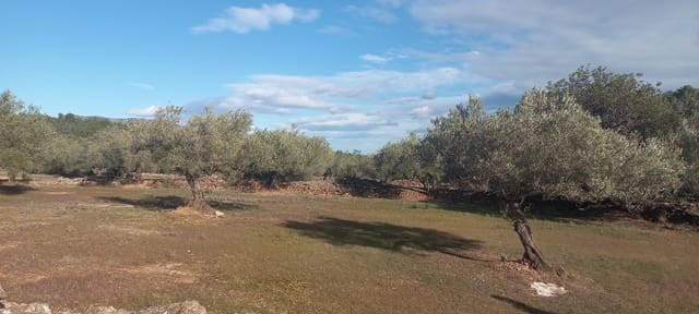 Undeveloped Land for sale in El Perelló - € 65,000 (Ref: 8802532)
