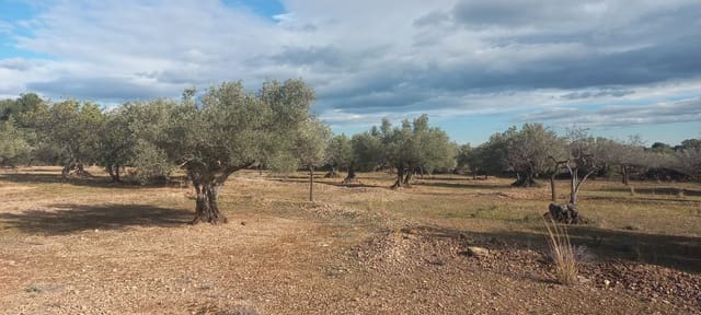 Undeveloped Land for sale in El Perelló - € 65,000 (Ref: 8802532)