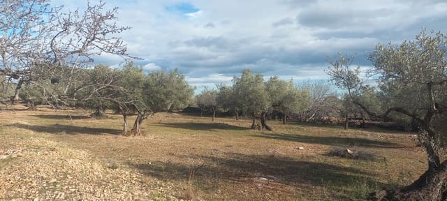 Undeveloped Land for sale in El Perelló - € 65,000 (Ref: 8802532)