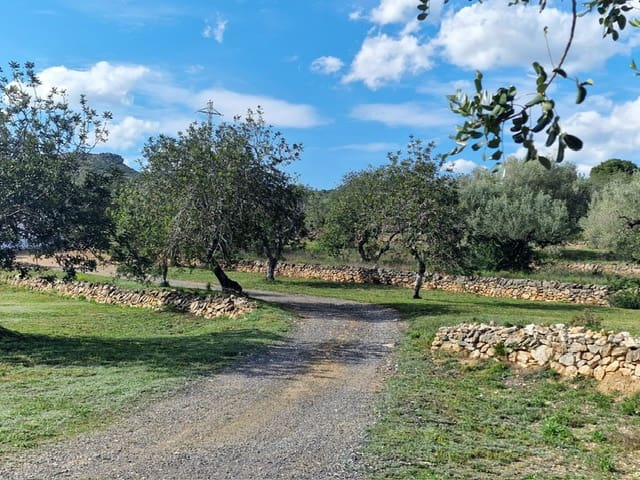 3 sovrum Finca/Hus på landet till salu i El Perello med pool garage - 435 000 € (Ref: 9170209)