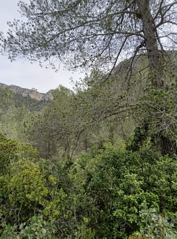 Undeveloped Land for sale in Benifallet - € 20,000 (Ref: 9218816)