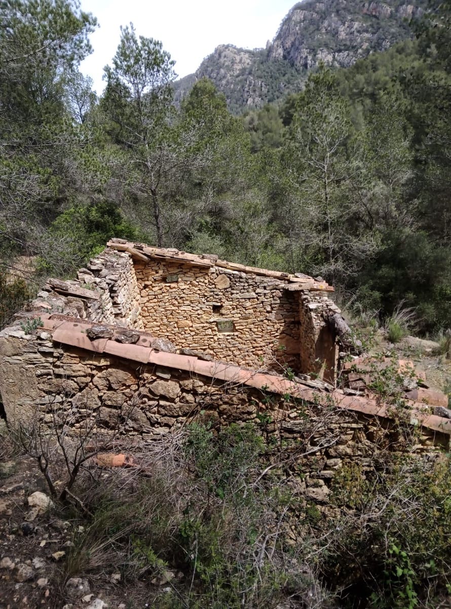 Teren niezagospodarowany na sprzedaż w Benifallet - 20 000 € (Ref: 9218816)