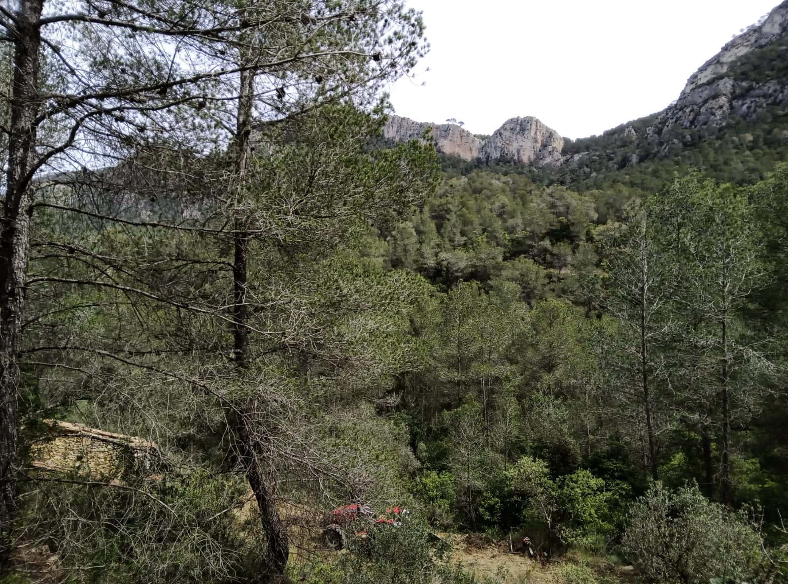 Teren niezagospodarowany na sprzedaż w Benifallet - 20 000 € (Ref: 9218816)