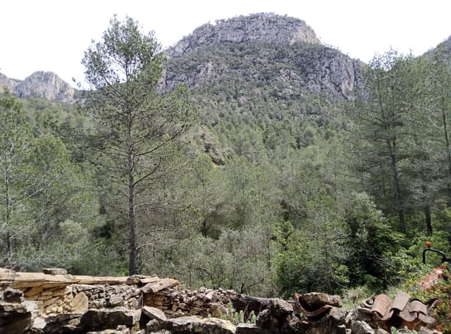 Undeveloped Land for sale in Benifallet - € 20,000 (Ref: 9218816)