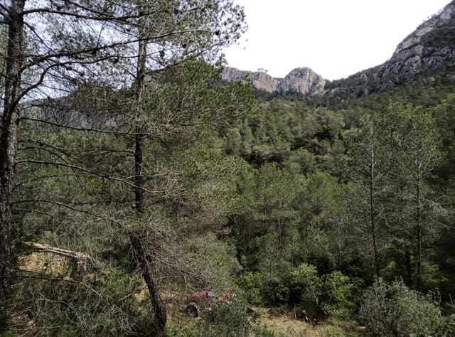 Undeveloped Land for sale in Benifallet - € 20,000 (Ref: 9218816)