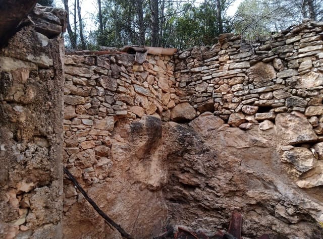 Undeveloped Land for sale in Benifallet - € 20,000 (Ref: 9218816)