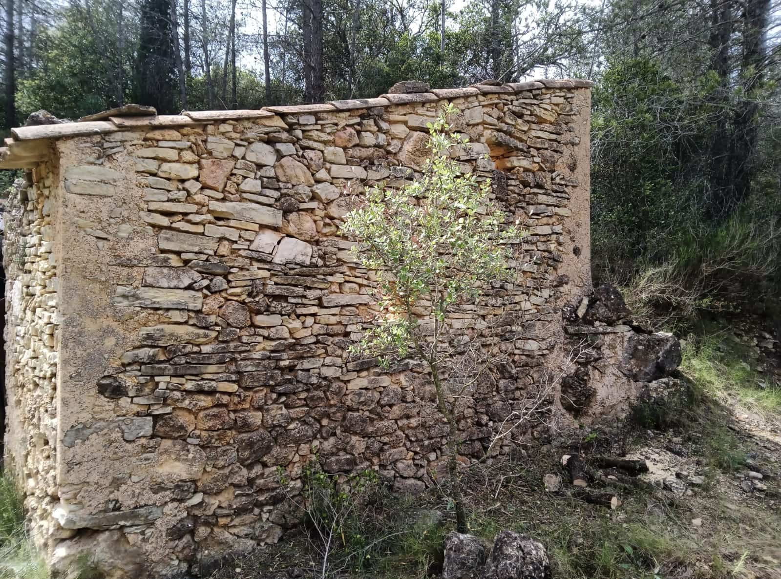 Teren niezagospodarowany na sprzedaż w Benifallet - 20 000 € (Ref: 9218816)