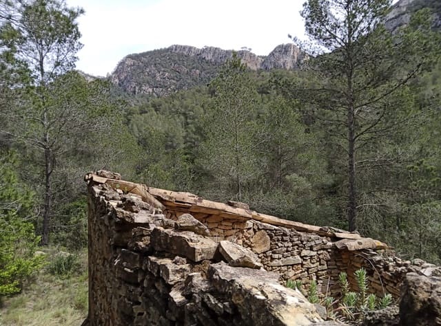 Undeveloped Land for sale in Benifallet - € 20,000 (Ref: 9218816)