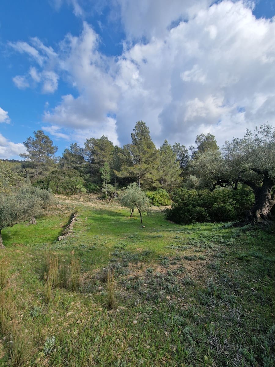 Finca/Country House for sale in El Perello - € 130,000 (Ref: 9699671)