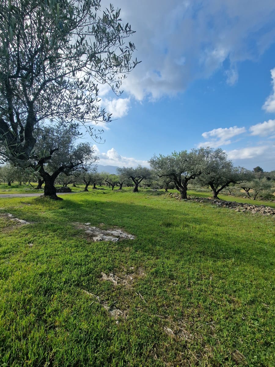 Finca/Country House for sale in El Perello - € 130,000 (Ref: 9699671)