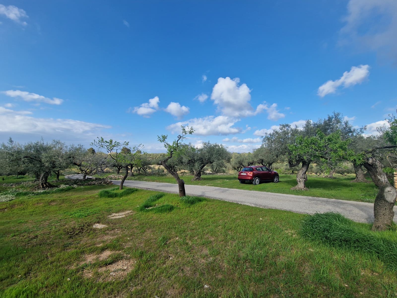 Finca/Country House for sale in El Perello - € 130,000 (Ref: 9699671)