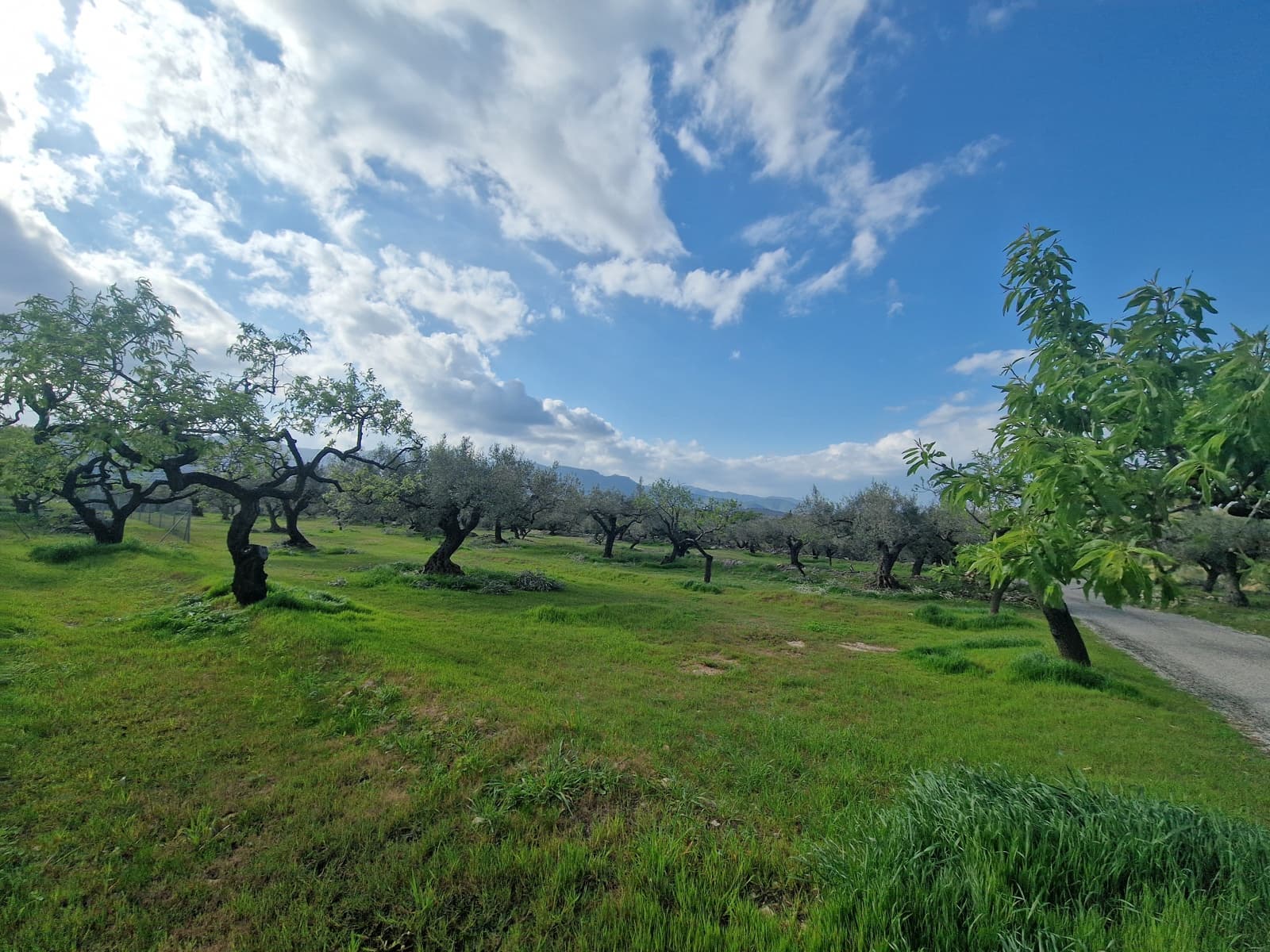 Finca/Country House for sale in El Perello - € 130,000 (Ref: 9699671)