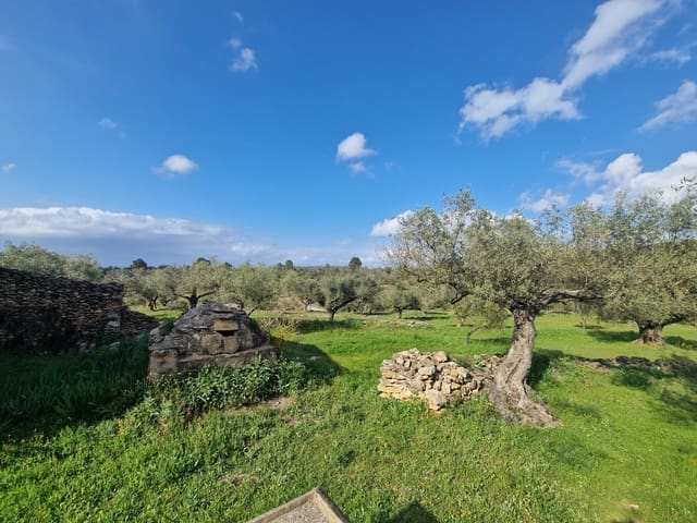Finca/Landhuis te koop in El Perelló - € 130.000 (Ref: 9699671)