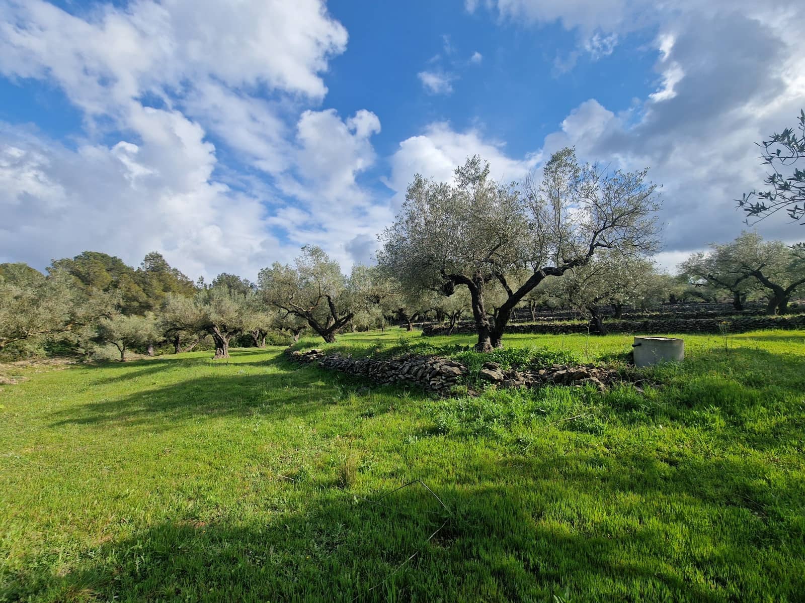 Finca/Country House for sale in El Perello - € 130,000 (Ref: 9699671)