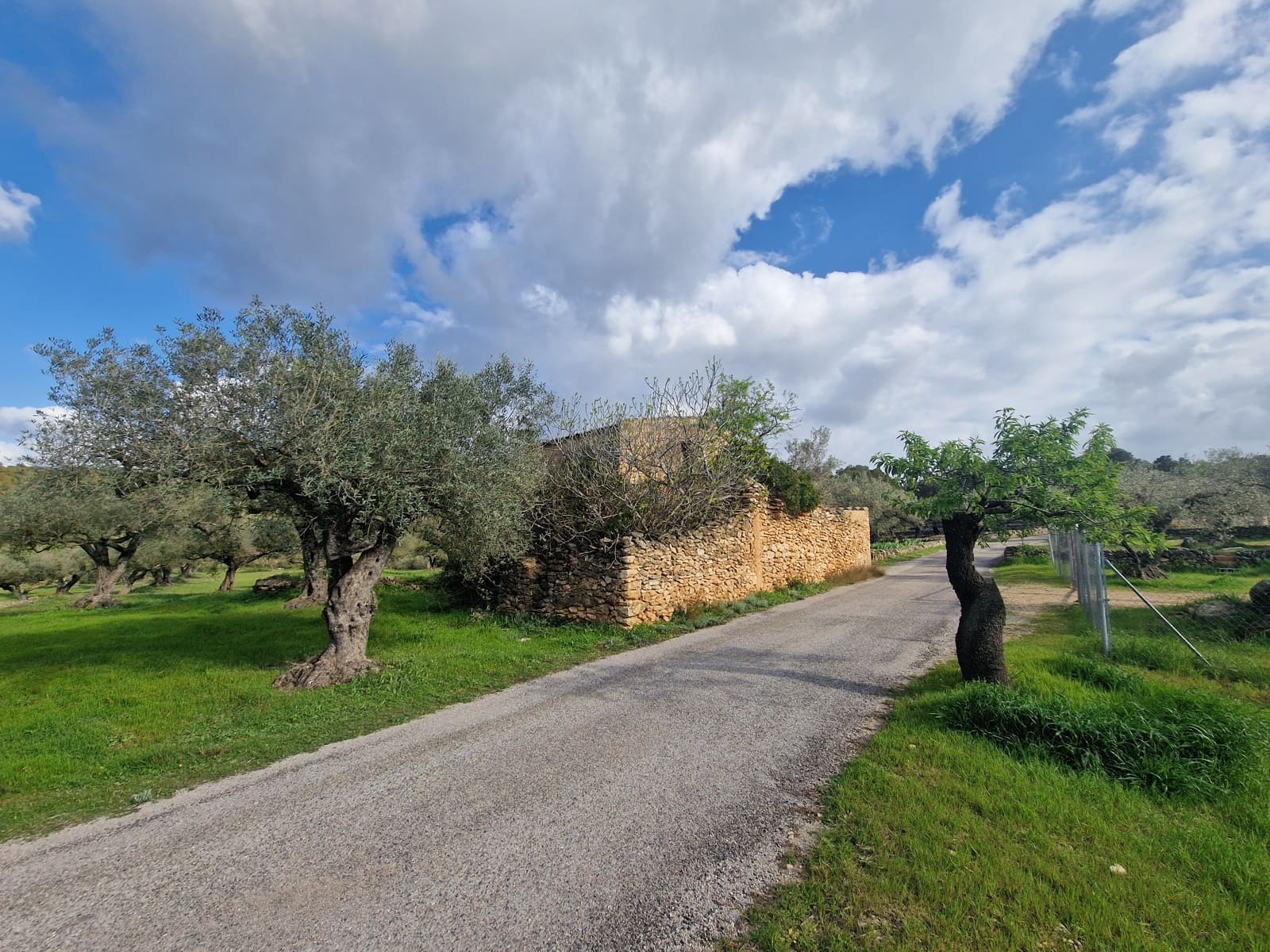 Finca/Country House for sale in El Perello - € 130,000 (Ref: 9699671)