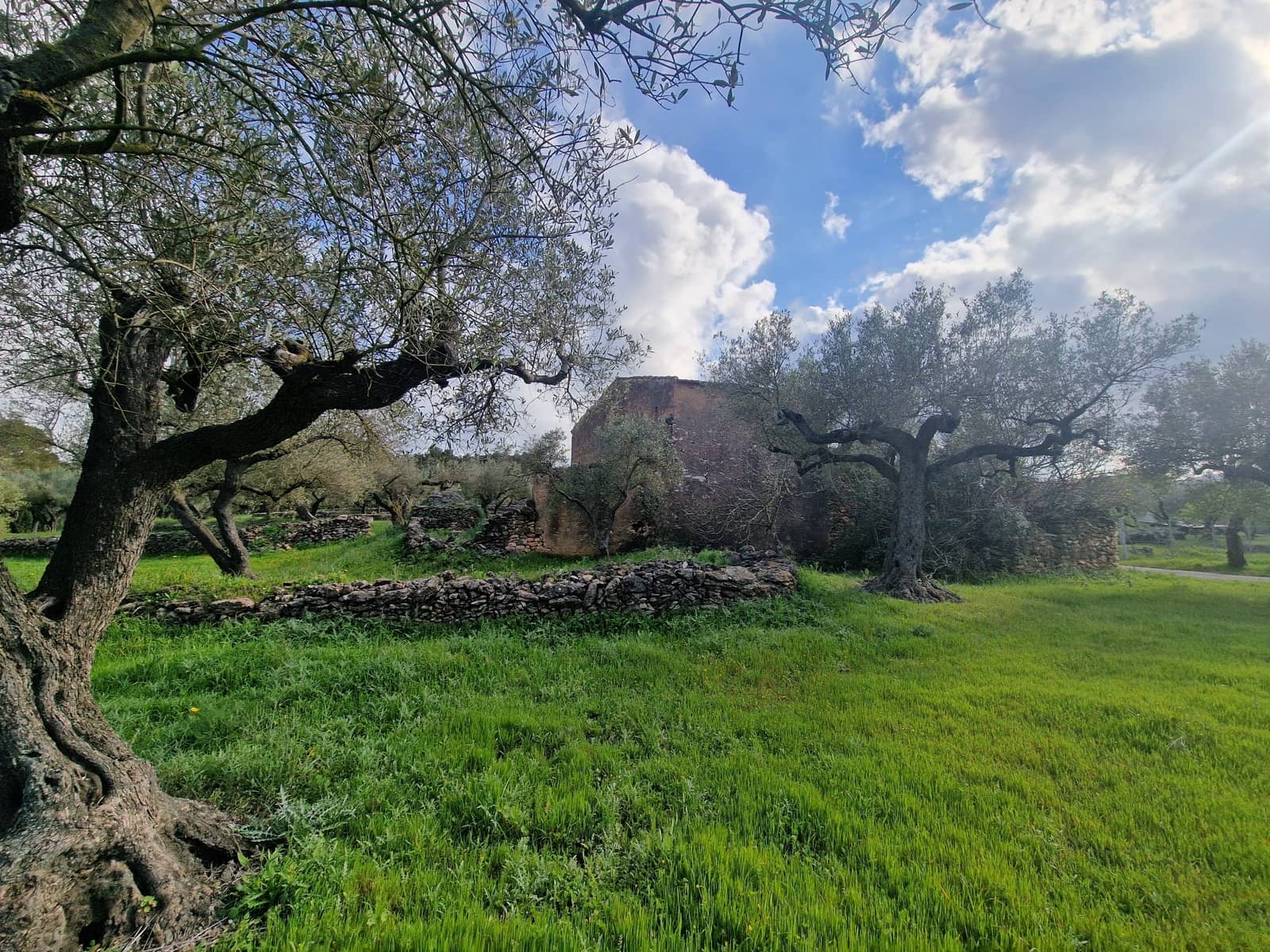 Finca/Country House for sale in El Perello - € 130,000 (Ref: 9699671)