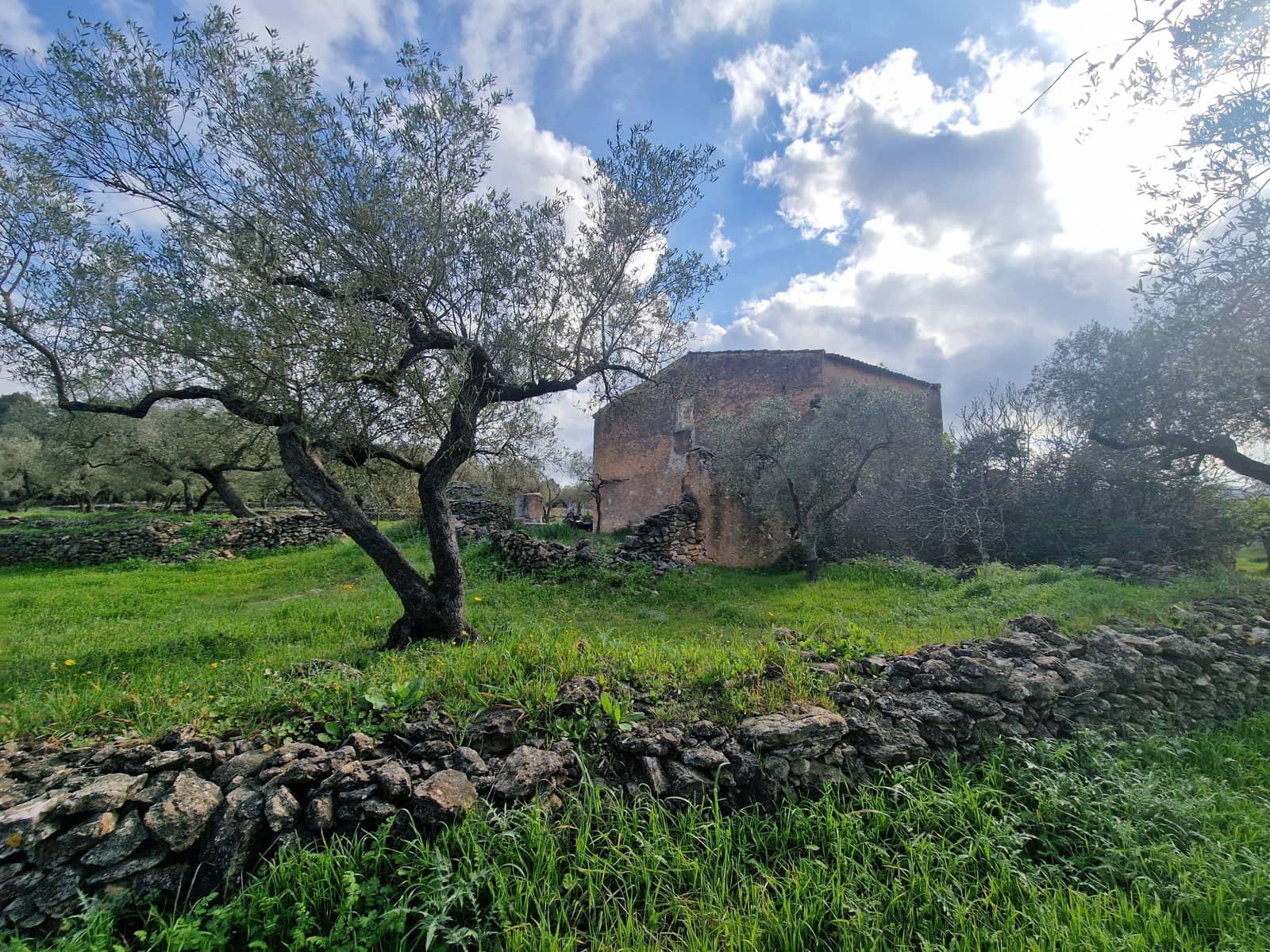 Finca/Country House for sale in El Perello - € 130,000 (Ref: 9699671)