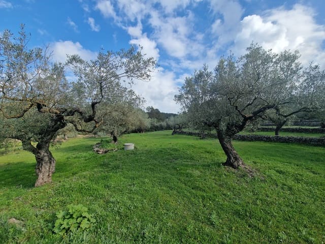 Finca/Landhuis te koop in El Perelló - € 130.000 (Ref: 9699671)