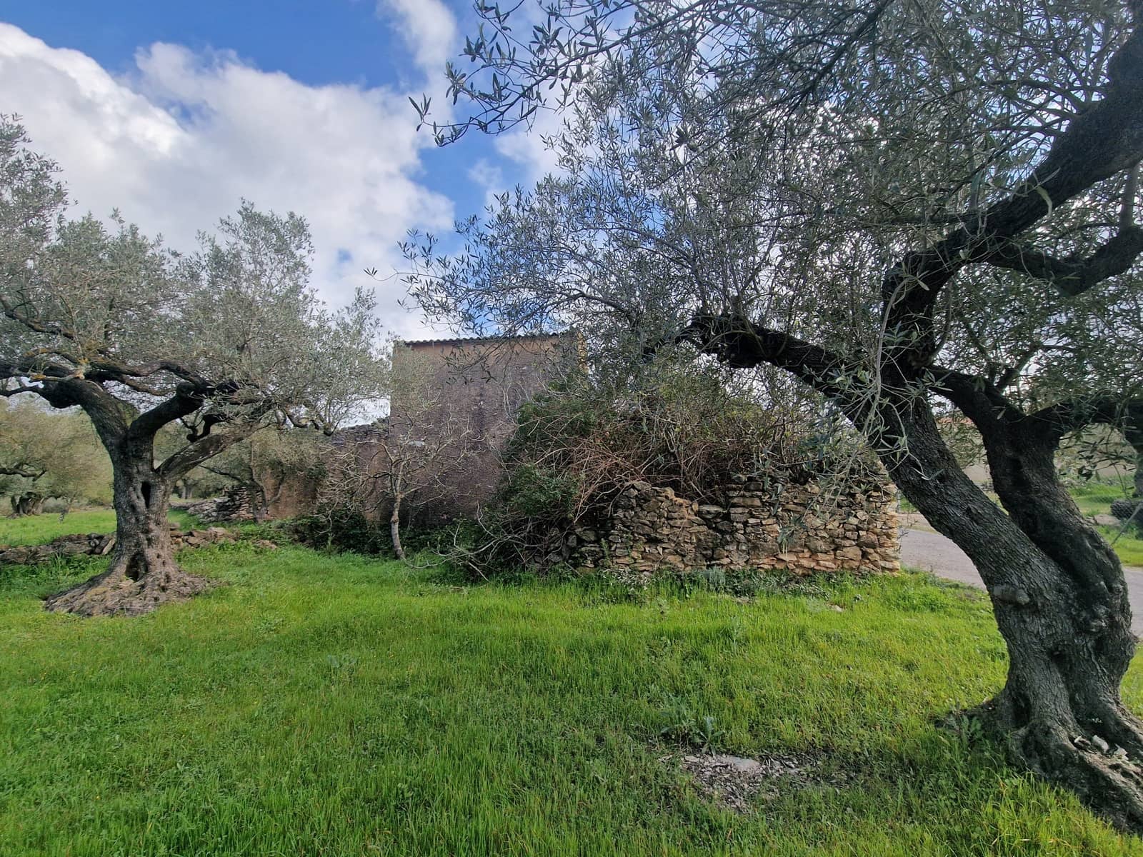 Finca/Country House for sale in El Perello - € 130,000 (Ref: 9699671)