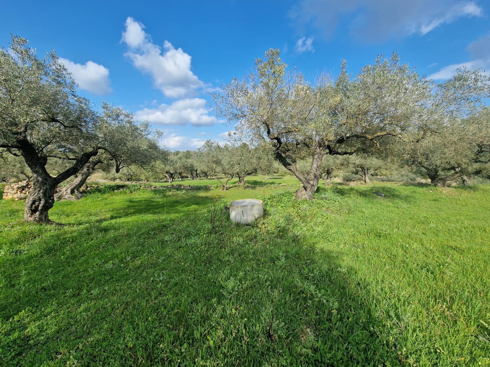 Finca/Country House for sale in El Perello - € 130,000 (Ref: 9699671)