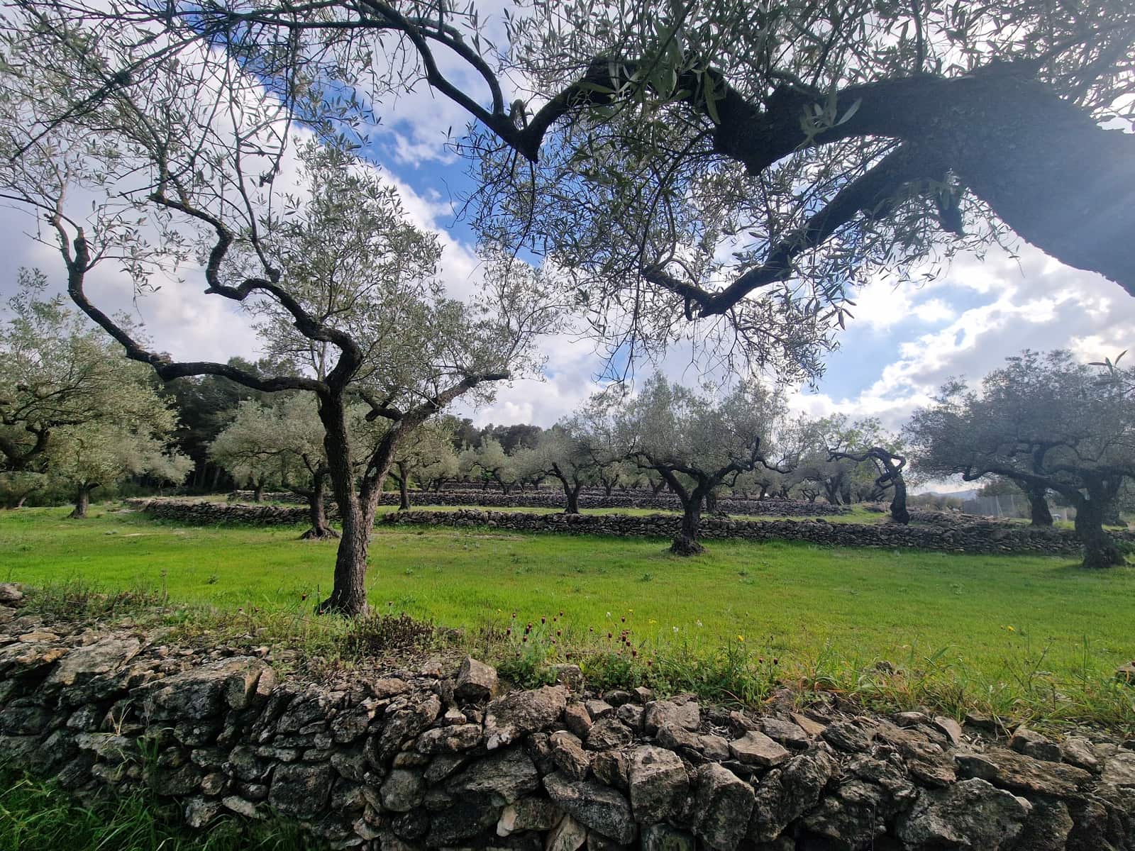 Finca/Country House for sale in El Perello - € 130,000 (Ref: 9699671)