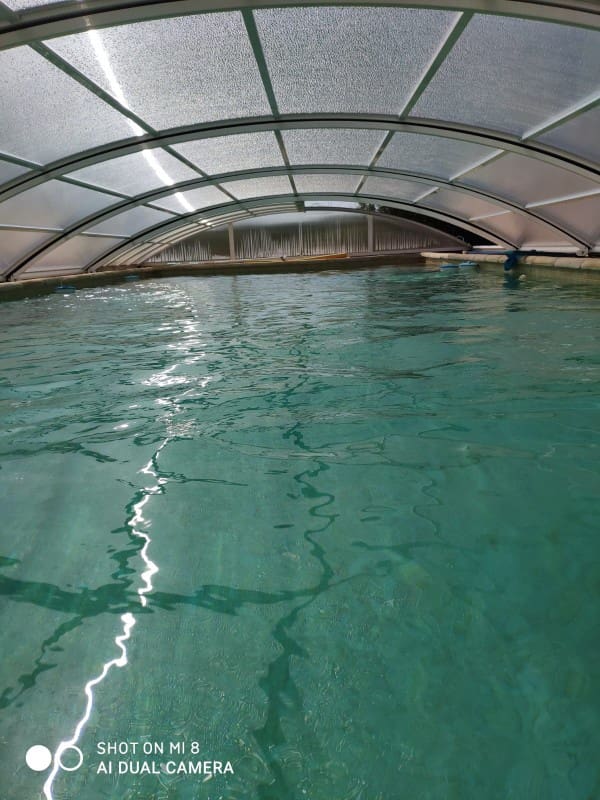 2 bedroom Finca/Country House for sale in El Perello with pool - € 280,000 (Ref: 9774380)