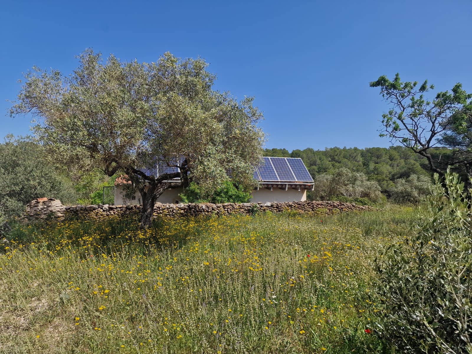 2 bedroom Finca/Country House for sale in El Perello with pool - € 280,000 (Ref: 9774380)