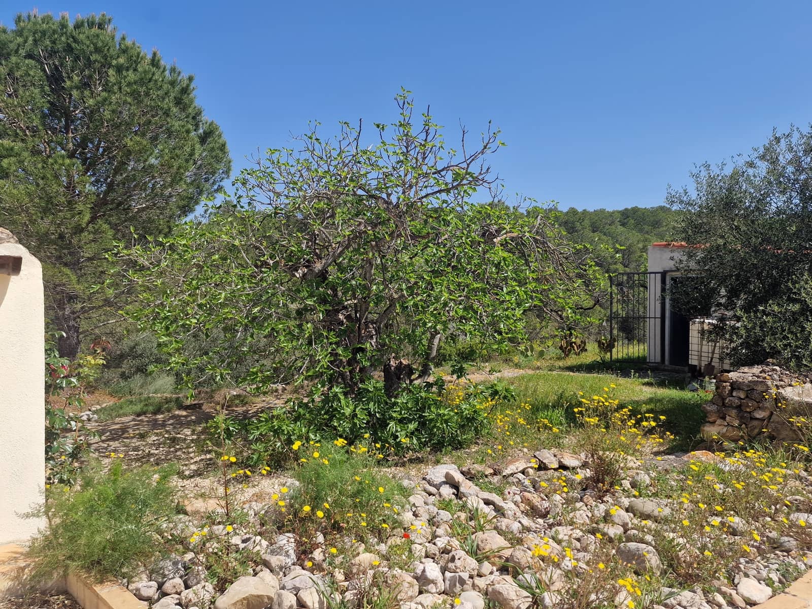 2 bedroom Finca/Country House for sale in El Perello with pool - € 280,000 (Ref: 9774380)