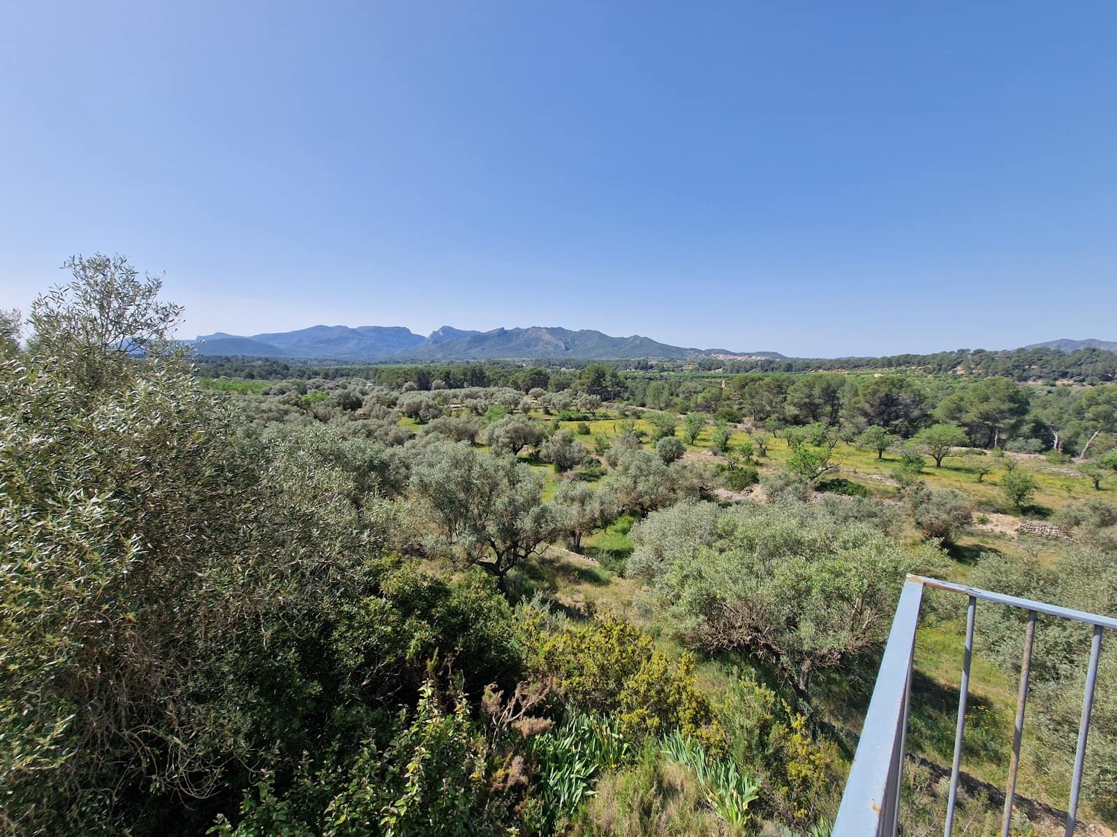 2 bedroom Finca/Country House for sale in El Perello with pool - € 280,000 (Ref: 9774380)