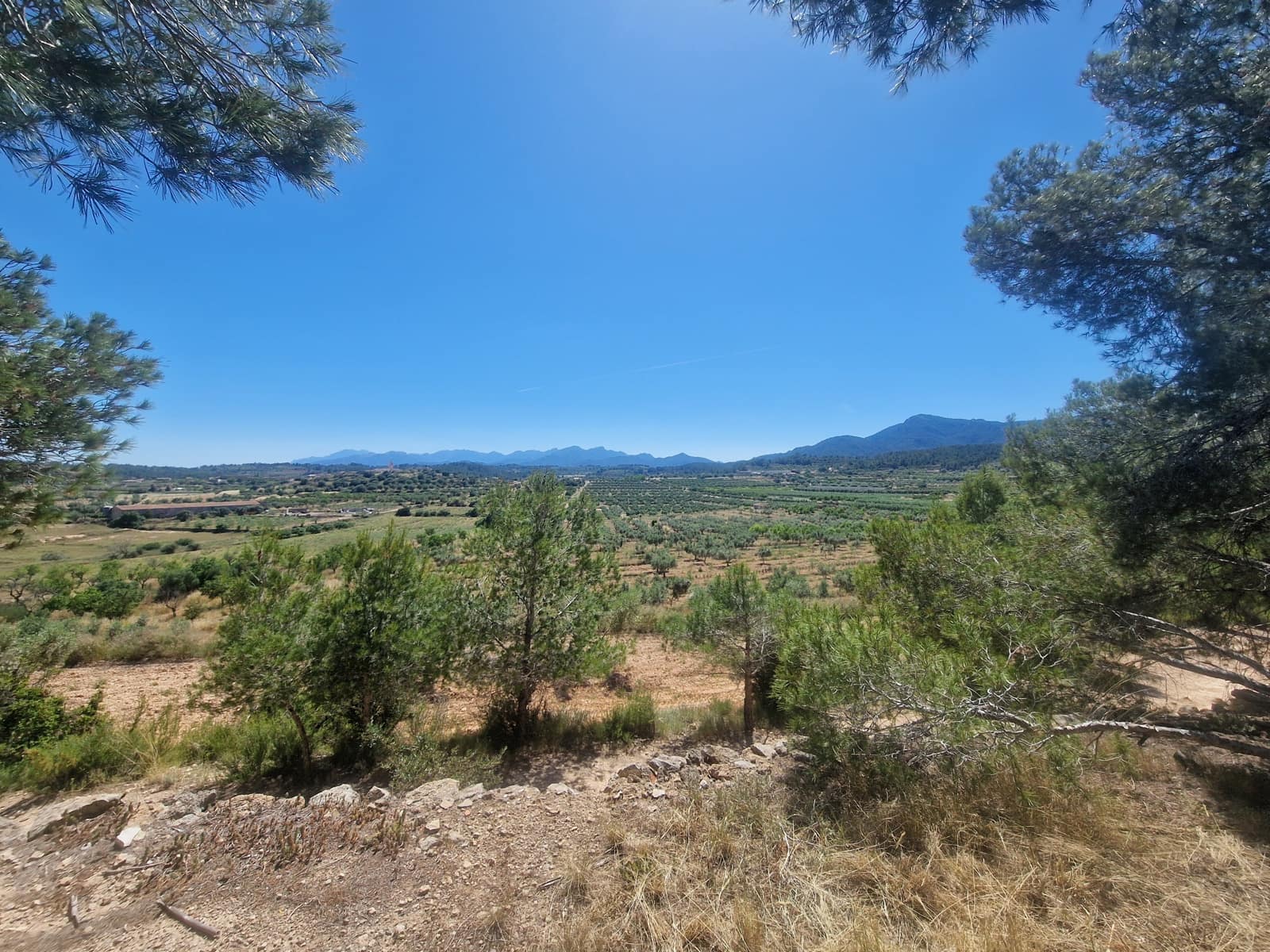 3 bedroom Finca/Country House for sale in El Pinell de Brai with pool - € 113,000 (Ref: 9867415)