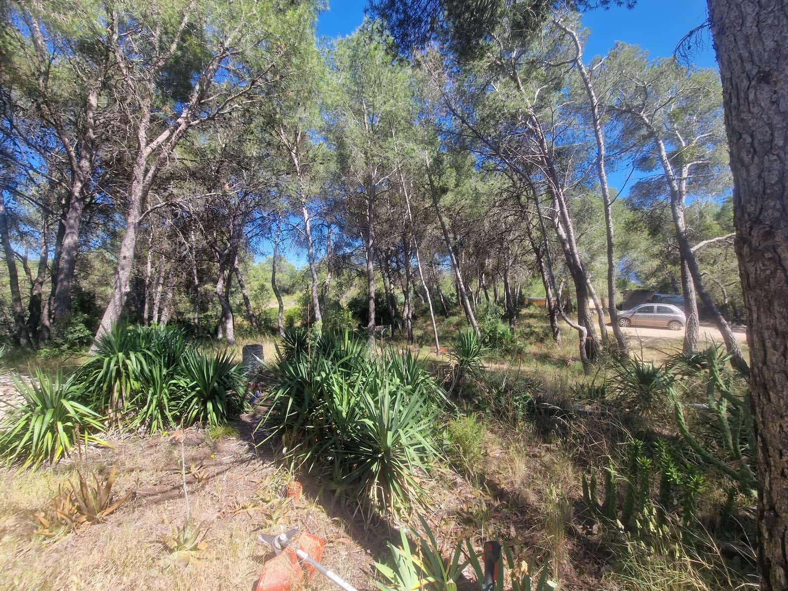 3 bedroom Finca/Country House for sale in El Pinell de Brai with pool - € 113,000 (Ref: 9867415)