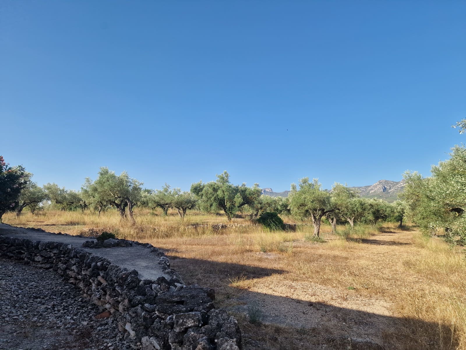 4 slaapkamer Finca/Landhuis te koop in El Perello met zwembad garage - € 360.000 (Ref: 9965658)