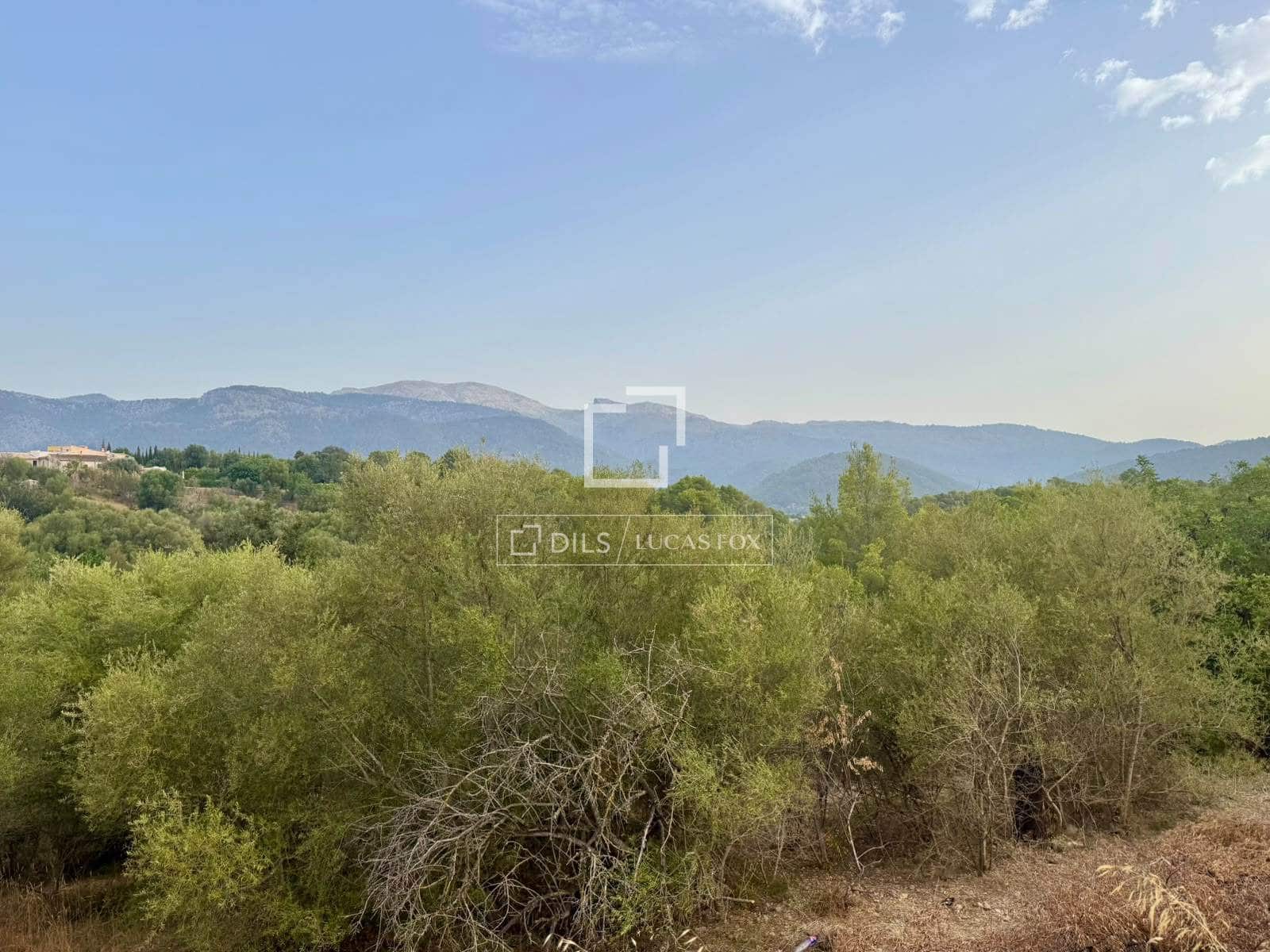 Bauplatz zu verkaufen in Campanet - 250.000 € (Ref: 10039304)