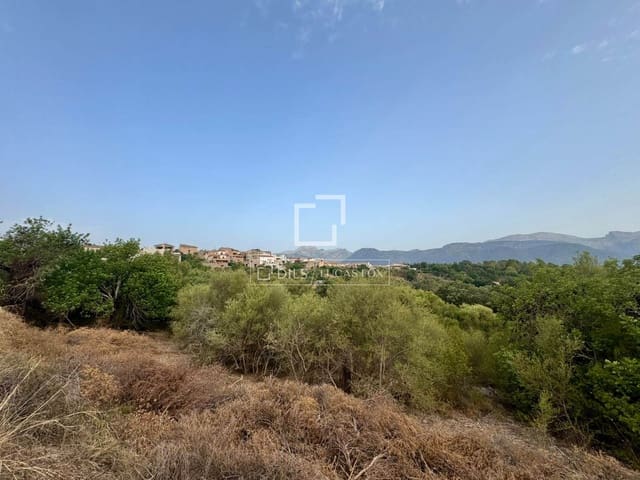 Bauplatz zu verkaufen in Campanet - 250.000 € (Ref: 10039304)