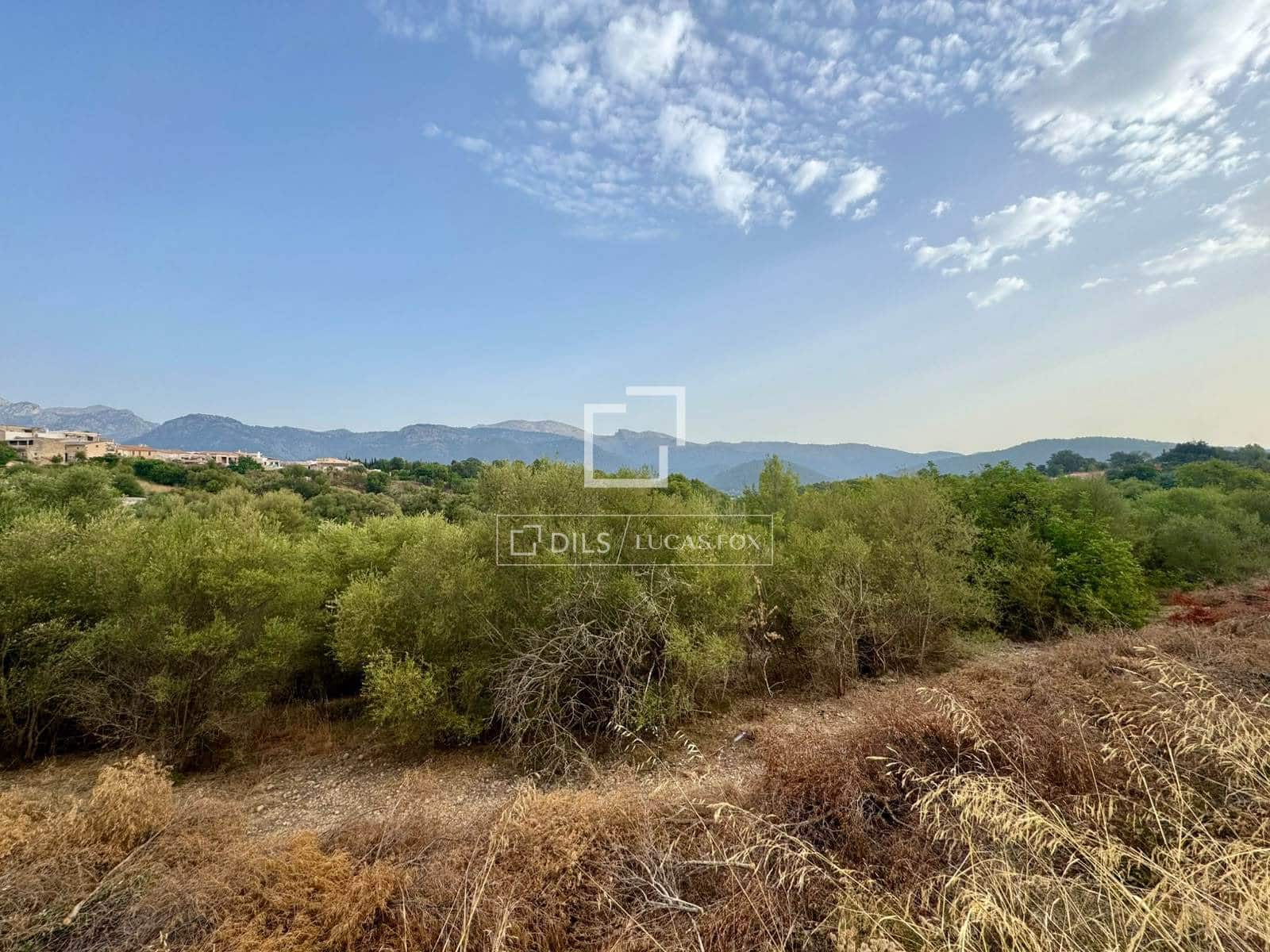 Bauplatz zu verkaufen in Campanet - 250.000 € (Ref: 10039304)