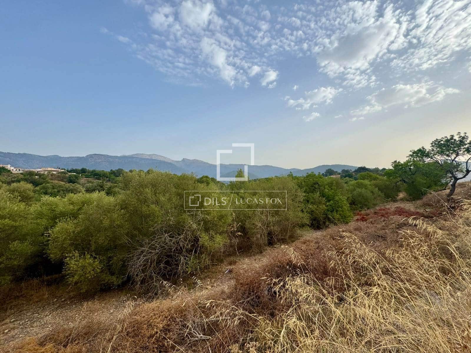 Bauplatz zu verkaufen in Campanet - 250.000 € (Ref: 10039304)
