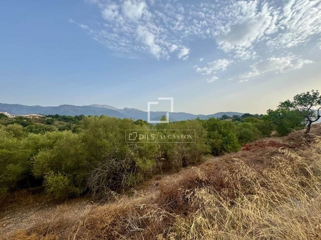 Bauplatz zu verkaufen in Campanet - 250.000 € (Ref: 10039304)