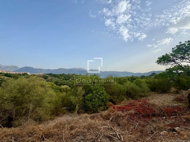 Bauplatz zu verkaufen in Campanet - 250.000 € (Ref: 10039304)