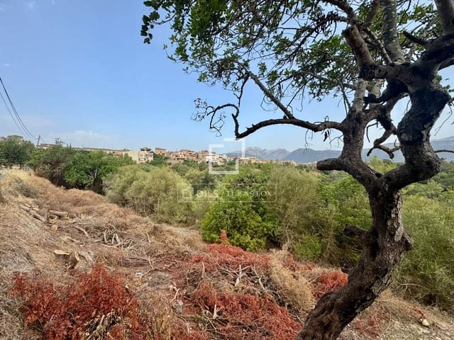 Bauplatz zu verkaufen in Campanet - 250.000 € (Ref: 10039304)