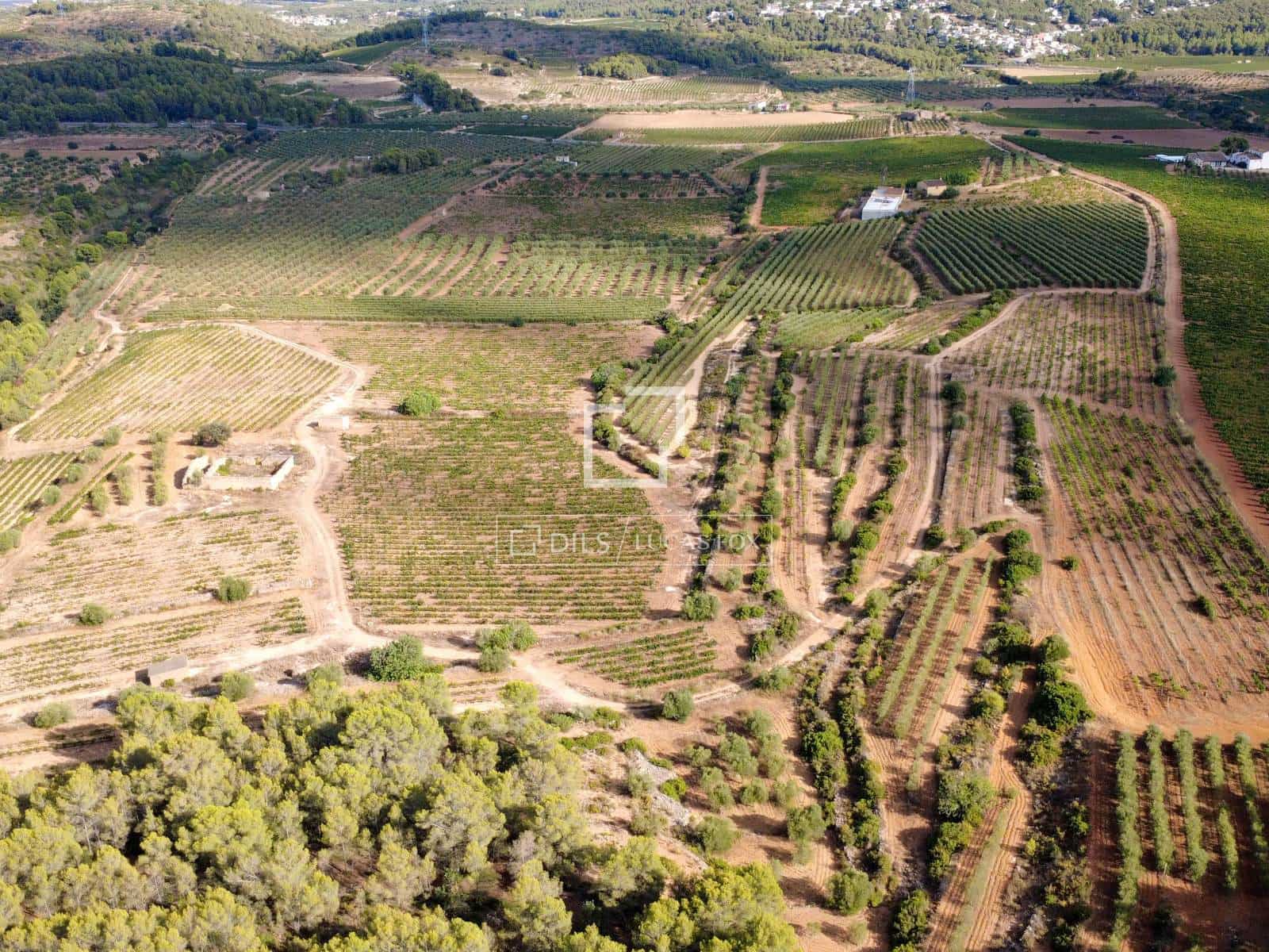4 sovrum Finca/Hus på landet till salu i La Bisbal del Penedes - 790 000 € (Ref: 10042204)
