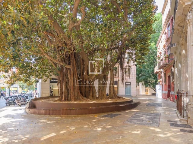 5 makuuhuone Kattohuoneisto myytävänä paikassa Centro Historico, Málaga kaupunki mukana 
autotalli - 1 600 000 € (Ref: 10088610)