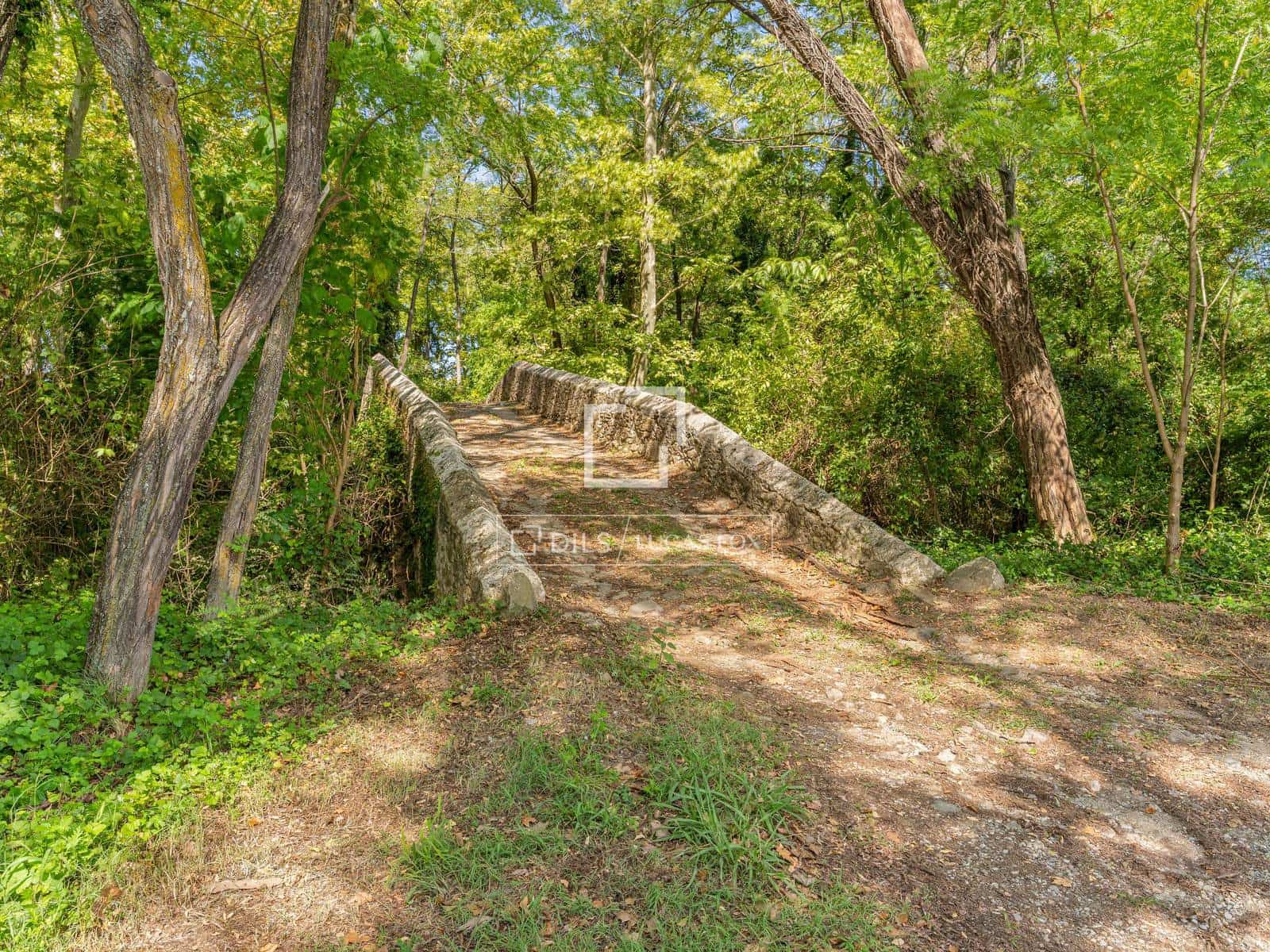 8 bedroom Finca/Country House for sale in Sant Miquel de Campmajor with pool - € 995,000 (Ref: 10106534)