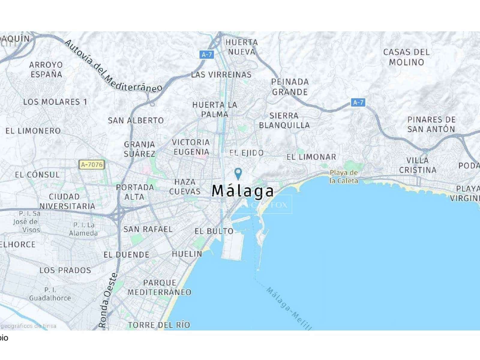 10 soverom Kommersiell til salgs i Malaga by - € 3 800 000 (Ref: 10112362)