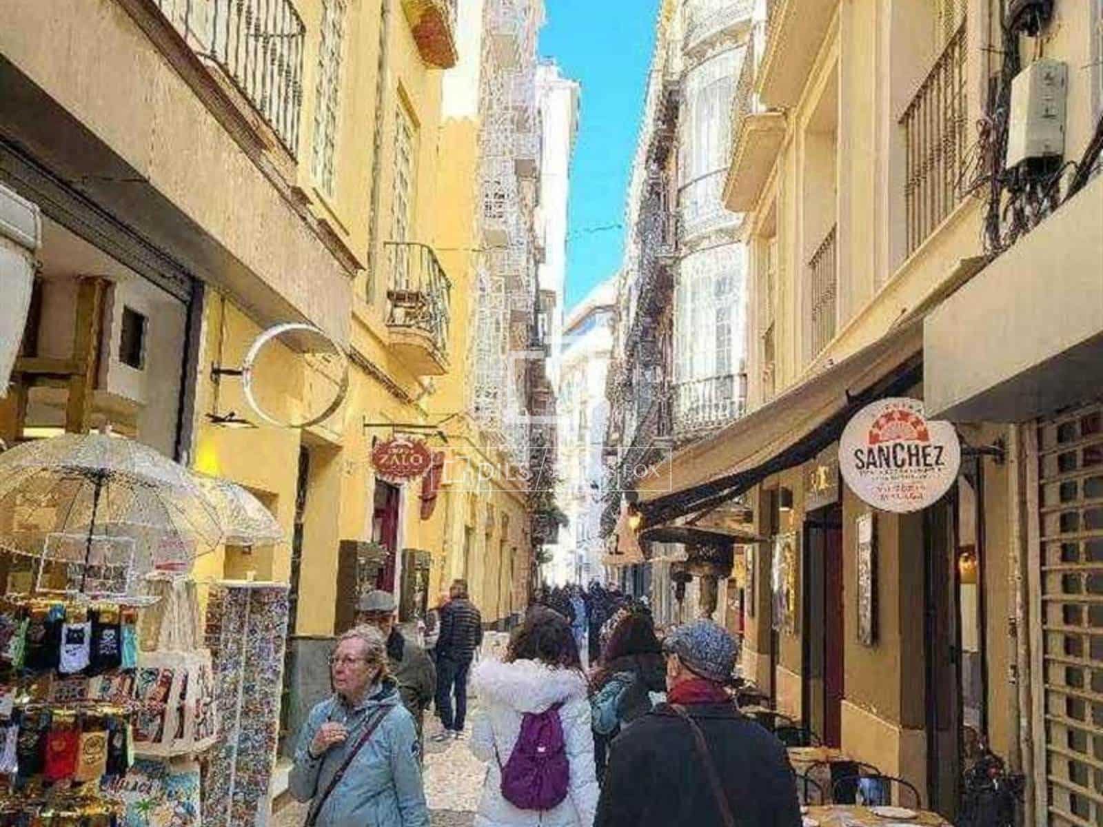 10 soverom Kommersiell til salgs i Malaga by - € 3 800 000 (Ref: 10112362)