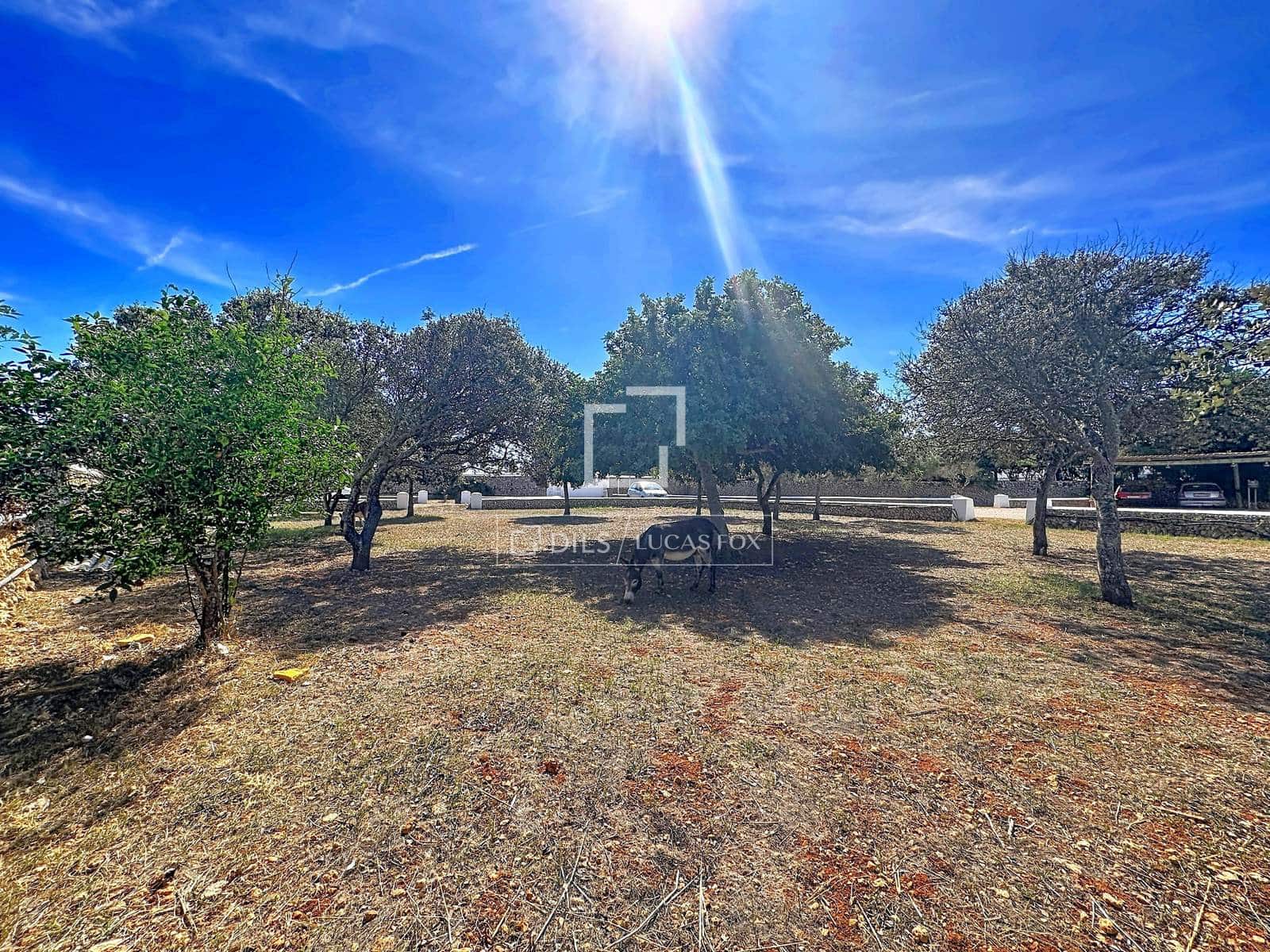 7 soverom Finca/Herregård til salgs i Mahon / Mao med svømmebasseng garasje - € 2 800 000 (Ref: 10139955)