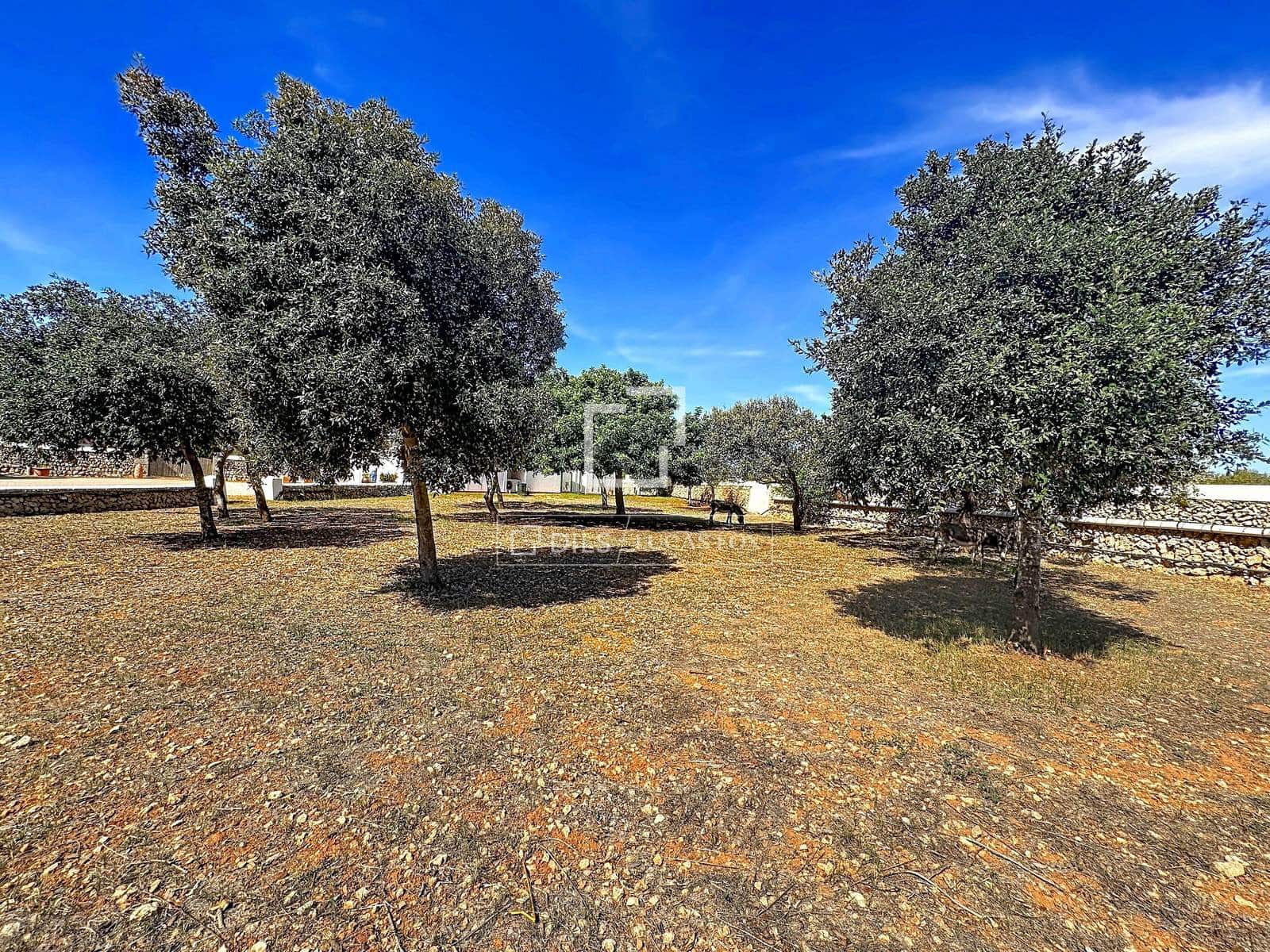 7 soverom Finca/Herregård til salgs i Mahon / Mao med svømmebasseng garasje - € 2 800 000 (Ref: 10139955)