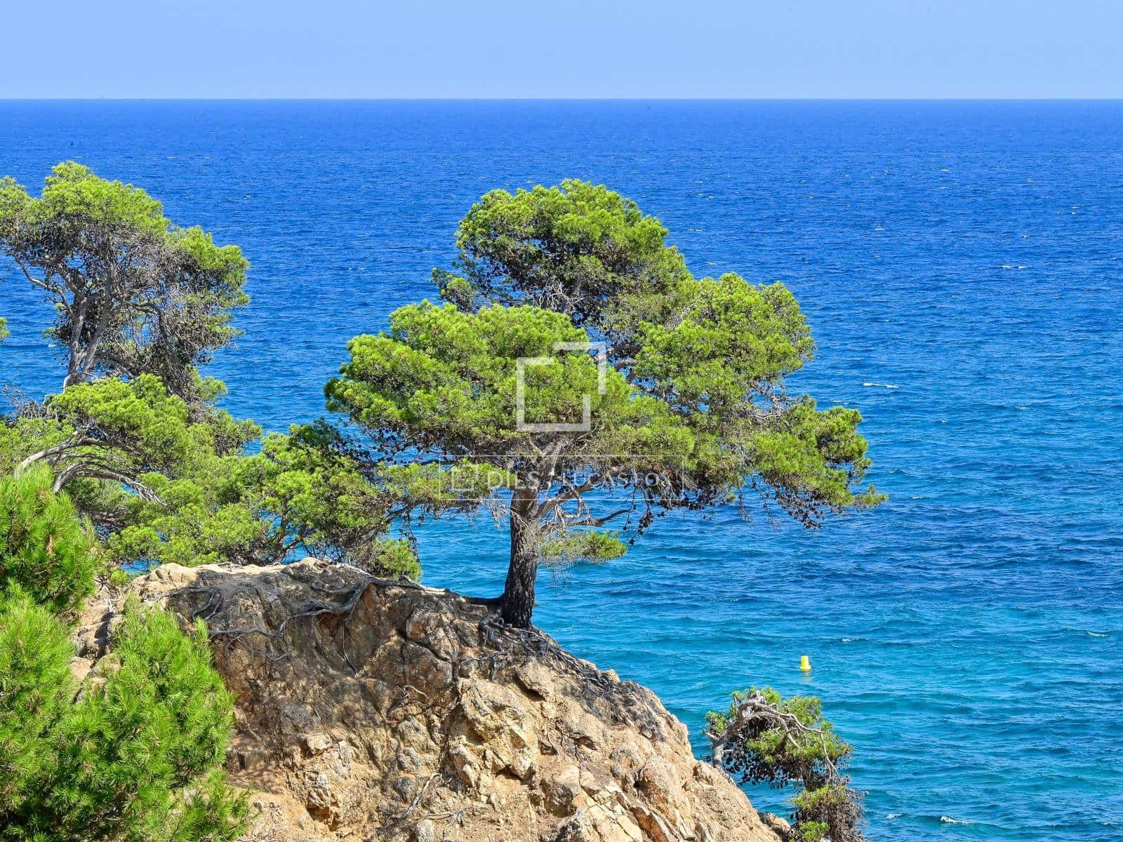 4 soverom Leilighet til salgs i Calonge i Sant Antoni med garasje - € 800 000 (Ref: 10141401)