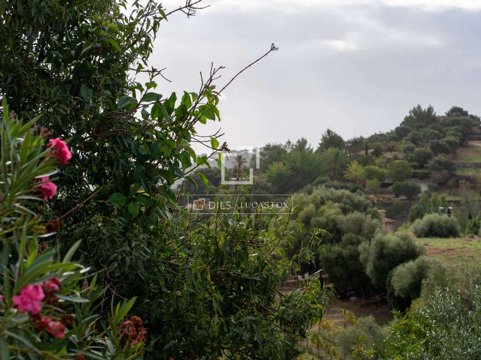 4 bedroom Finca/Country House for sale in Alaro with pool garage - € 1,300,000 (Ref: 10165528)