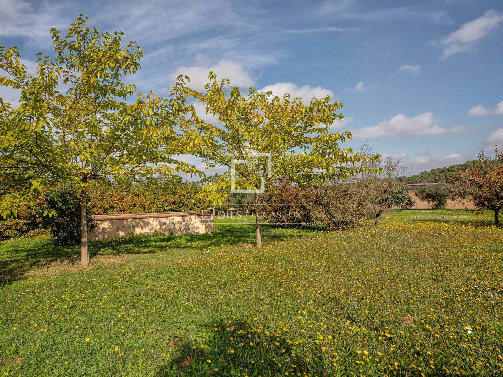 4 quarto Quinta/Casa Rural para venda em Canapost com garagem - 1 600 000 € (Ref: 10185278)